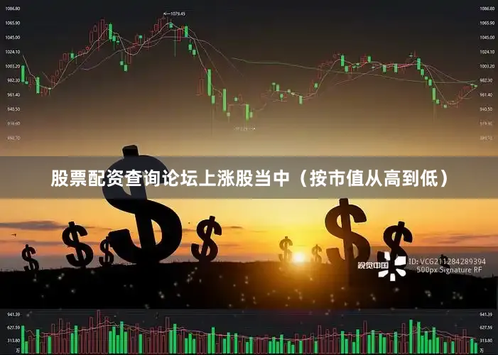 股票配资查询论坛　　上涨股当中（按市值从高到低）